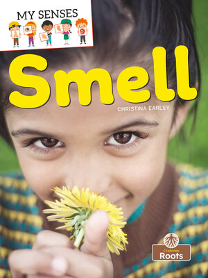 cover image of Smell